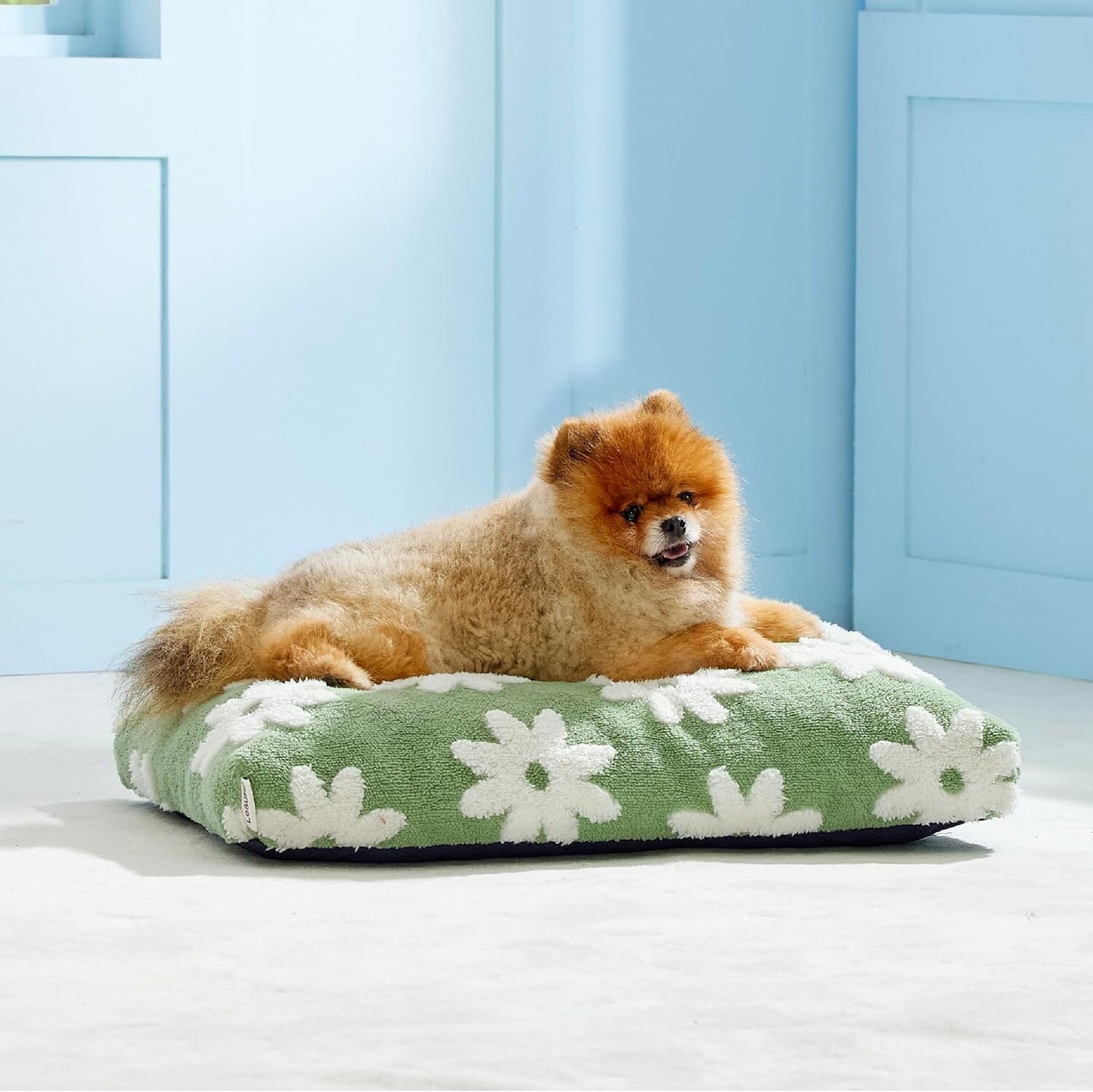 Housezhop Dog Bed