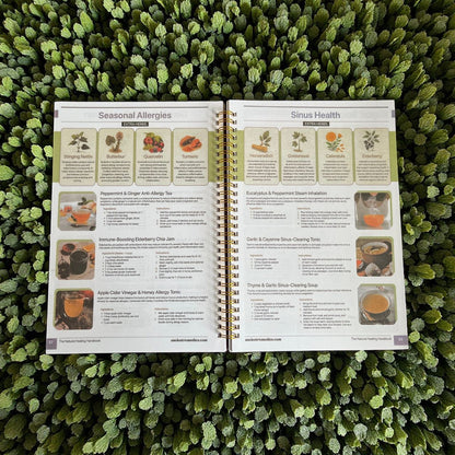 Natural Healing Handbook