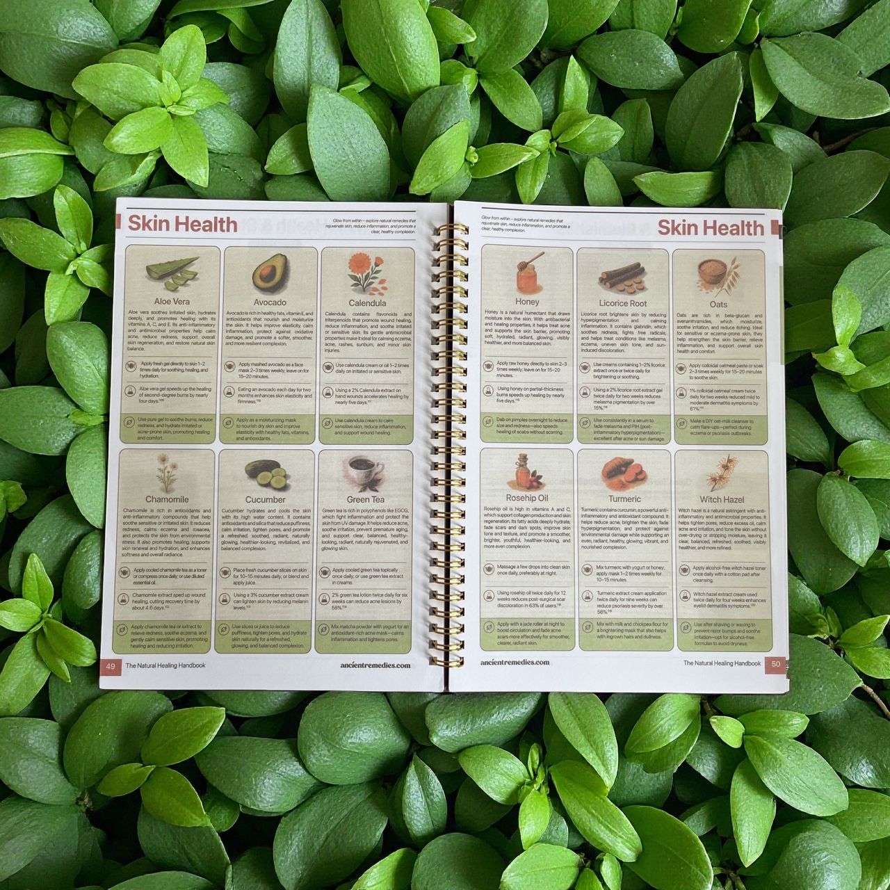 Natural Healing Handbook