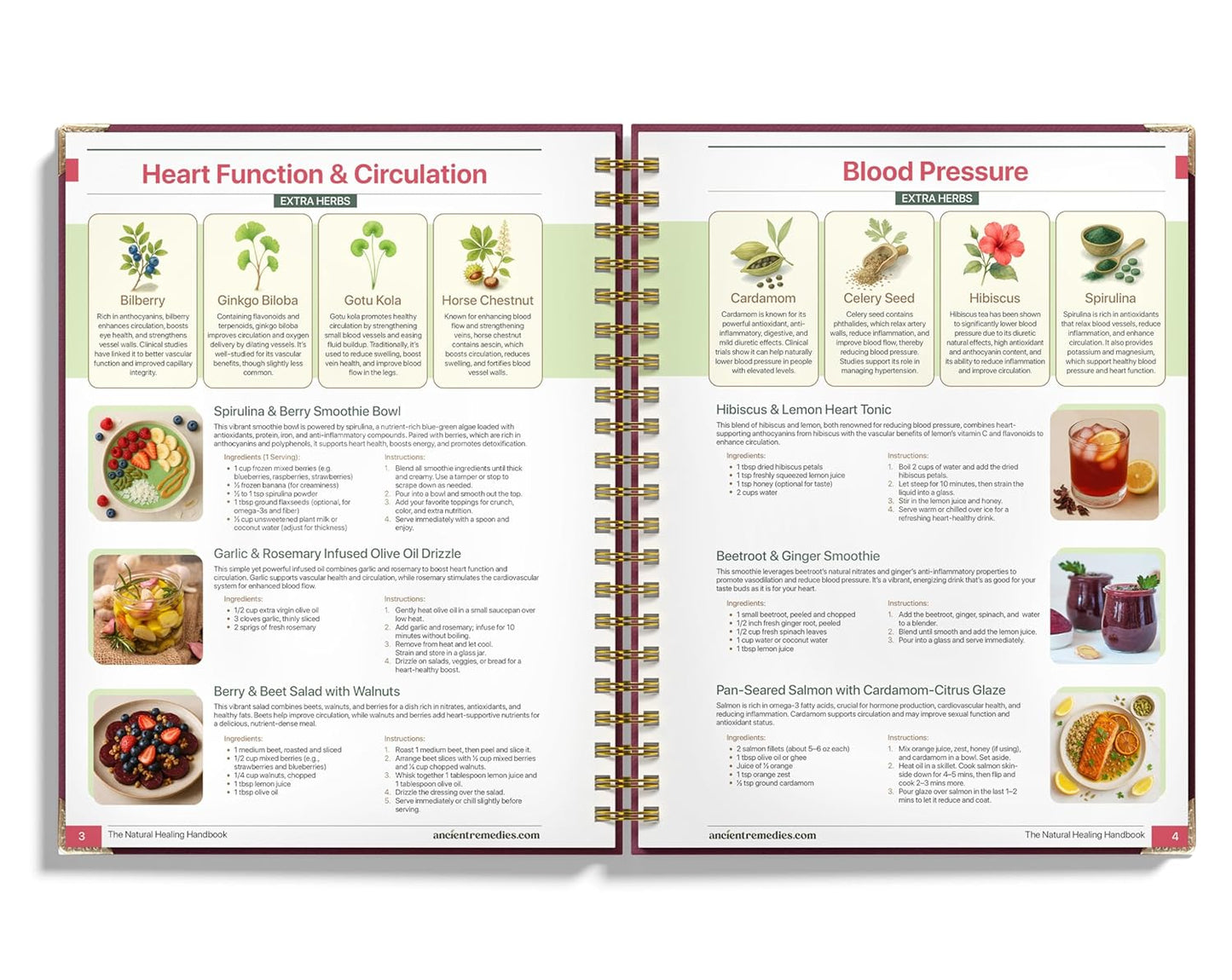 Natural Healing Handbook