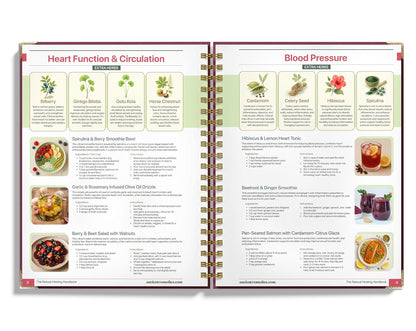 Natural Healing Handbook