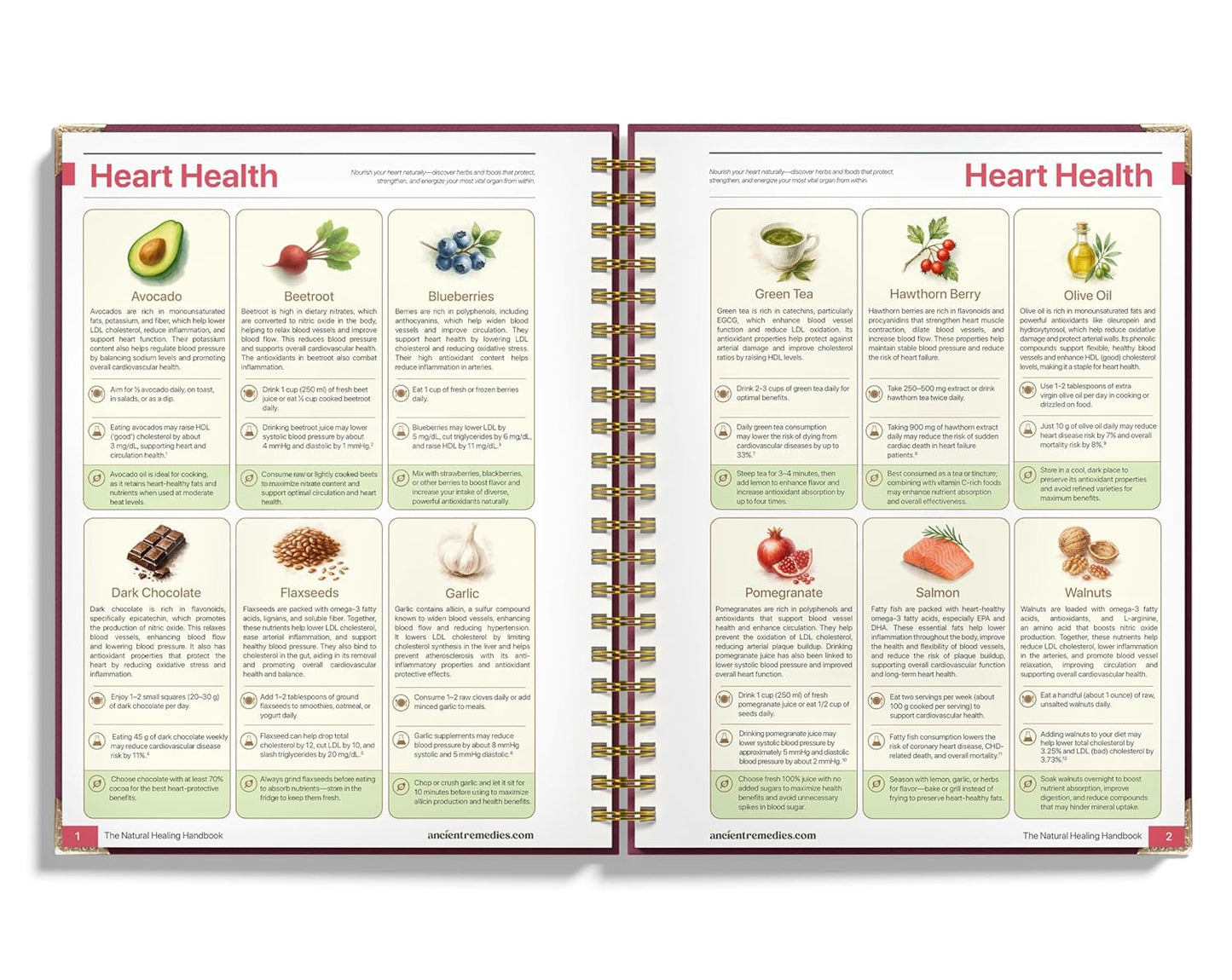 Natural Healing Handbook