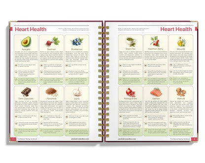 Natural Healing Handbook