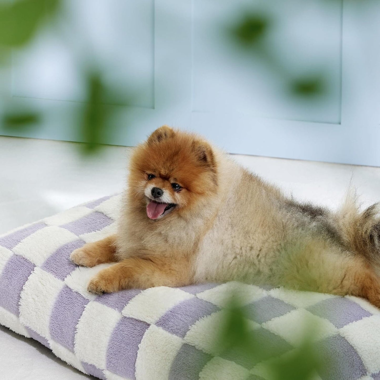Housezhop Dog Bed
