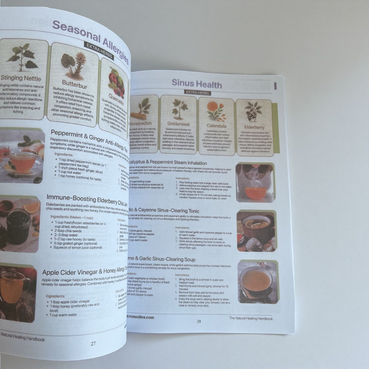 Natural Healing Handbook